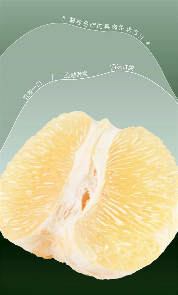 ƷѺ|